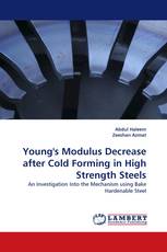 Young''s Modulus Decrease after Cold Forming in High Strength Steels