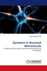 Dynamics in Neuronal Microcircuits