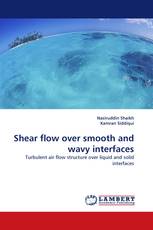 Shear flow over smooth and wavy interfaces