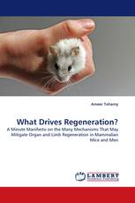 What Drives Regeneration?