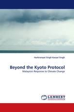 Beyond the Kyoto Protocol