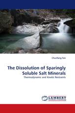 The Dissolution of Sparingly Soluble Salt Minerals