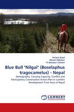 Blue Bull "Nilgai" (Boselaphus tragocamelus) - Nepal