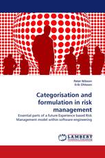 Categorisation and formulation in risk management