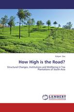 How High is the Road?