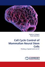 Cell Cycle Control of Mammalian Neural Stem Cells