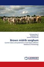 Brown midrib sorghum