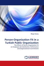Person-Organization Fit in a Turkish Public Organization