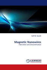 Magnetic Nanowires