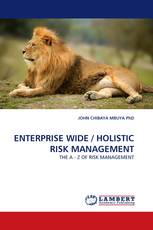 ENTERPRISE WIDE / HOLISTIC RISK MANAGEMENT