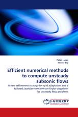Efficient numerical methods to compute unsteady subsonic flows