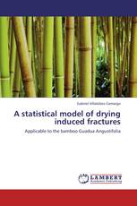 A statistical model of drying induced fractures