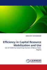 Efficiency in Capital Resource Mobilization and Use