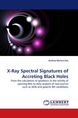 X-Ray Spectral Signatures of Accreting Black Holes