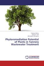 Phytoremediation Potential of Plants in Tannery Wastewater Treatment