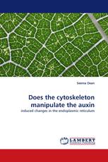 Does the cytoskeleton manipulate the auxin