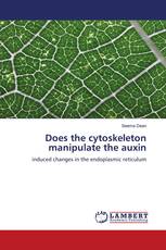 Does the cytoskeleton manipulate the auxin