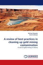 A review of best practices in cleaning up gold mining contamination