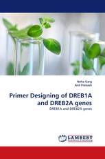 Primer Designing of DREB1A and DREB2A genes