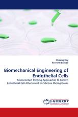 Biomechanical Engineering of Endothelial Cells