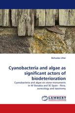 Cyanobacteria and algae as significant actors of biodeterioration