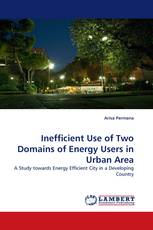 Inefficient Use of Two Domains of Energy Users in Urban Area