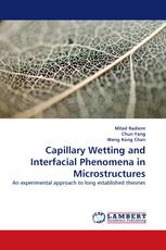 Capillary Wetting and Interfacial Phenomena in Microstructures