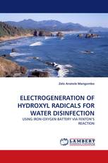 ELECTROGENERATION OF HYDROXYL RADICALS FOR WATER DISINFECTION