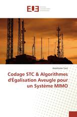 Codage STC & Algorithmes d'Égalisation Aveugle pour un Système MIMO