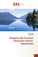 Imagerie des Tumeurs Stromales Gastro-Intestinales