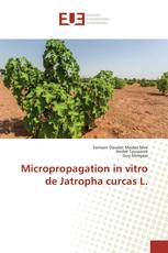 Micropropagation in vitro de Jatropha curcas L.