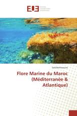 Flore Marine du Maroc (Méditerranée & Atlantique)