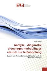 Analyse - diagnostic d’ouvrages hydrauliques réalisés sur le Baobolong