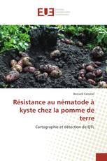 Résistance au nématode à kyste chez la pomme de terre