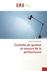 Contrôle de gestion et mesure de la performance