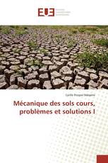 Mécanique des sols cours, problèmes et solutions I