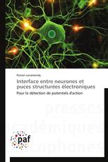 Interface entre neurones et puces structurées électroniques