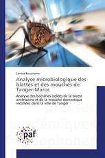 Analyse microbiologique des blattes et des mouches de Tanger-Maroc