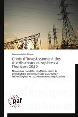 Choix d’investissement des distributeurs européens à l'horizon 2030