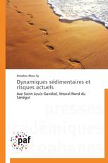 Dynamiques sédimentaires et risques actuels