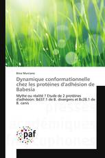 Dynamique conformationnelle chez les protéines d'adhésion de Babesia