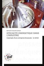 Efficacité Energétique Dans L'industrie