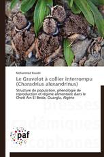 Le Gravelot à collier interrompu (Charadrius alexandrinus)