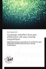 Couplage ultrafort d'un gaz d'électrons 2D sous champ magnétique