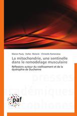 La mitochondrie, une sentinelle dans le remodelage musculaire