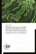 Bêtalactamases à spectre étendu émergentes chez Pseudomonas aeruginosa