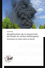 Modélisation de la dispersion de fluide en milieu hétérogène