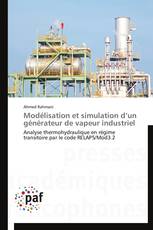 Modélisation et simulation d’un générateur de vapeur industriel