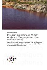 L'Impact du Drainage Minier Acide sur l'Environnement de Nador (Maroc)