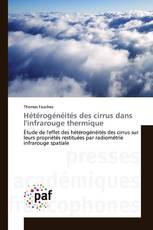 Hétérogénéités des cirrus dans l'infrarouge thermique